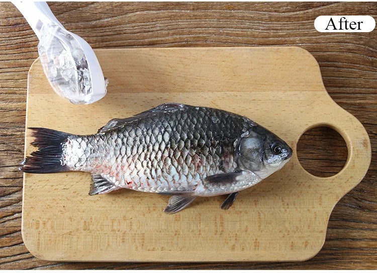 Fish Scale Remover